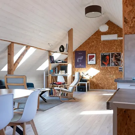 Loft Lumineux Atypique 10 Minutes Centre Appartement Straatsburg