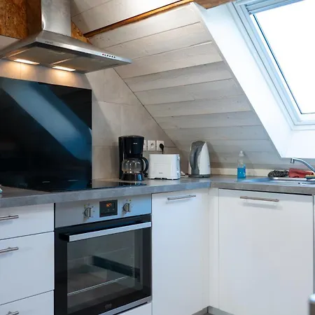 Апартаменты Loft Lumineux Atypique 10 Minutes Centre *