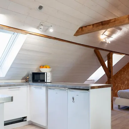Loft Lumineux Atypique 10 Minutes Centre Апартаменты Страсбург