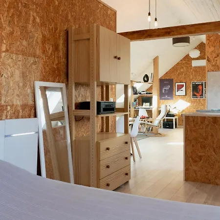 Loft Lumineux Atypique 10 Minutes Centre * Strasburg