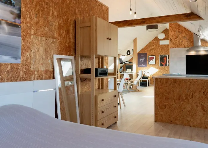 Loft Lumineux Atypique 10 Minutes Centre * Strasburg