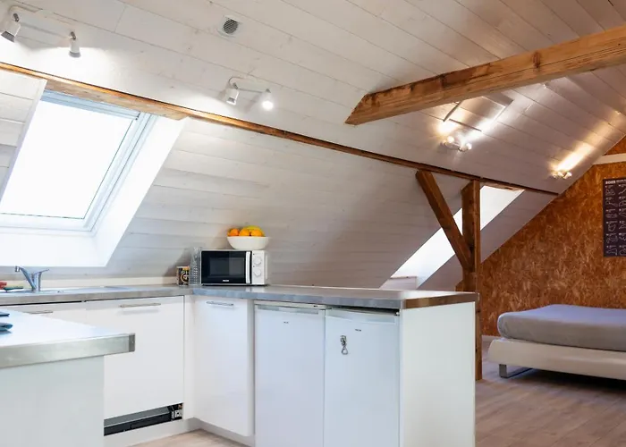 Loft Lumineux Atypique 10 Minutes Centre Apartament Strasburg
